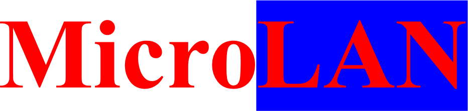 マイクロラン・ソリューションズ