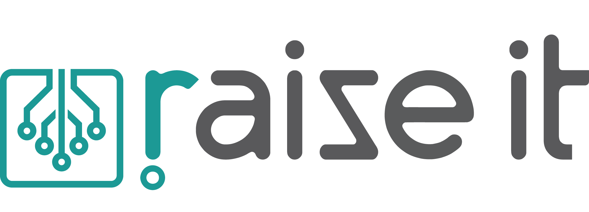 RAISE IT COMERCIO E SERVIÇOS DE INFORMÁTICA LTDA