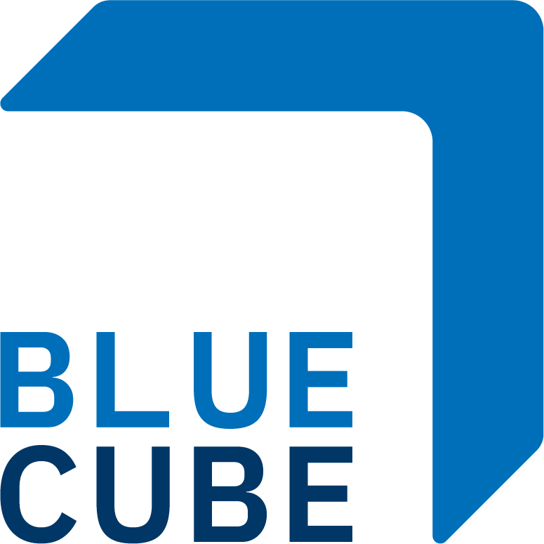 BLUE CUBE SECURITY LTD